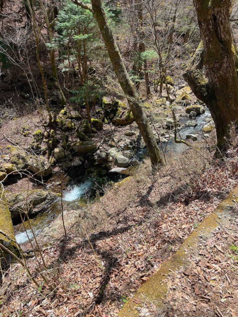 行きがけは 気がつかなかったけど 川の水も綺麗✨