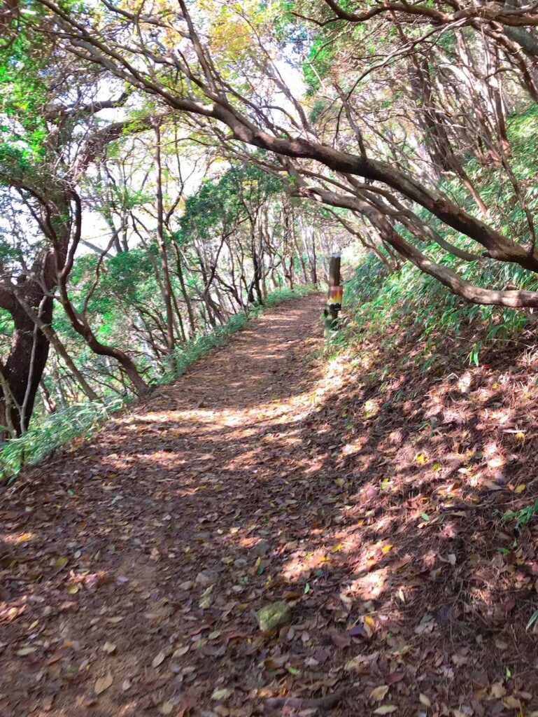 有馬温泉へ向かう道