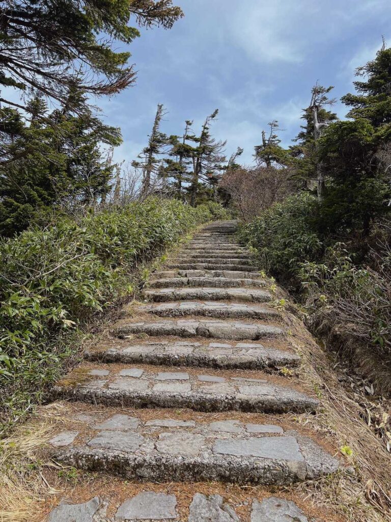 八幡平の階段が続く登山道
