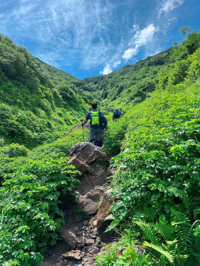 直射日光の中を進む