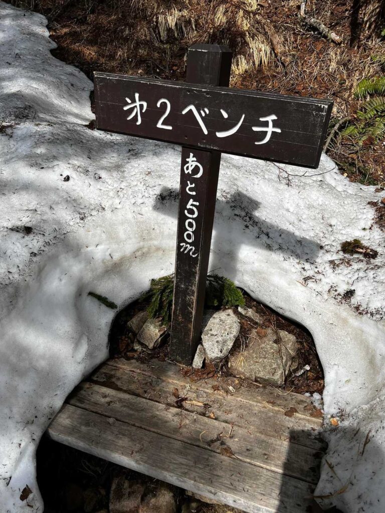 残雪の残る道を進む
