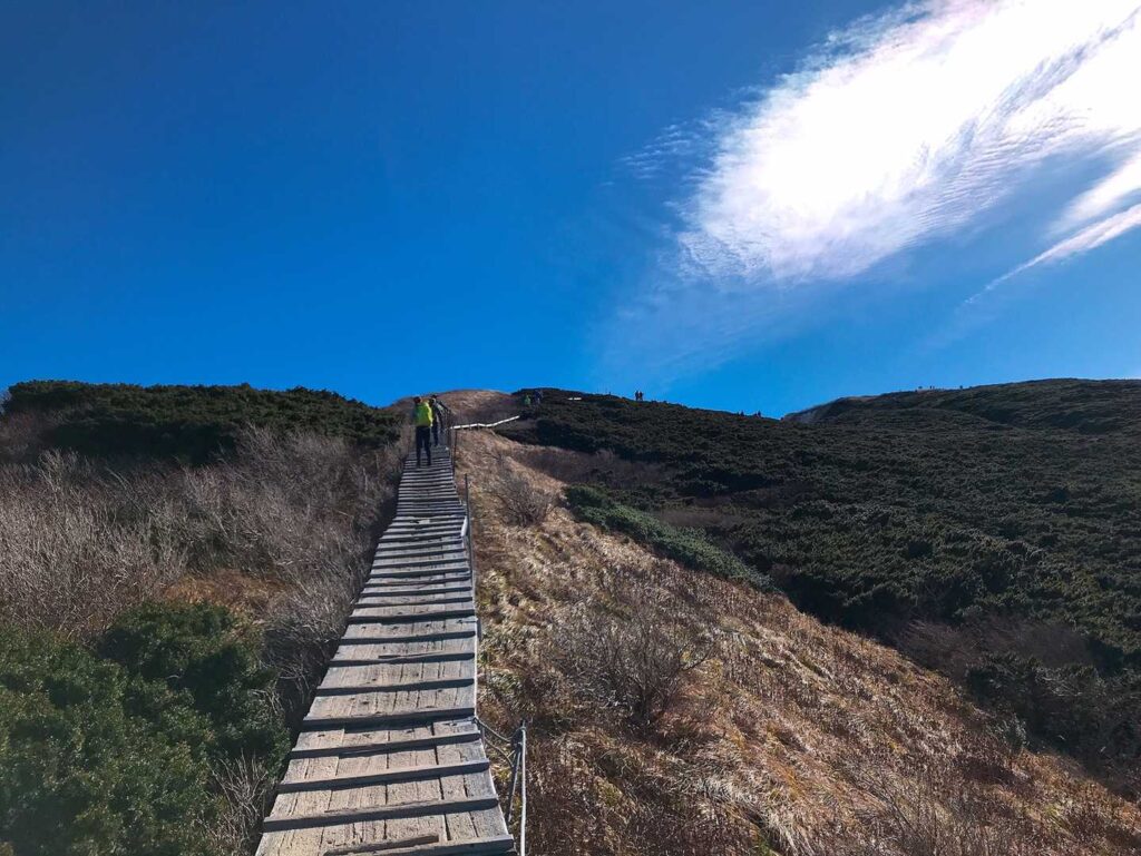 山頂への木道。ここから風が強まる