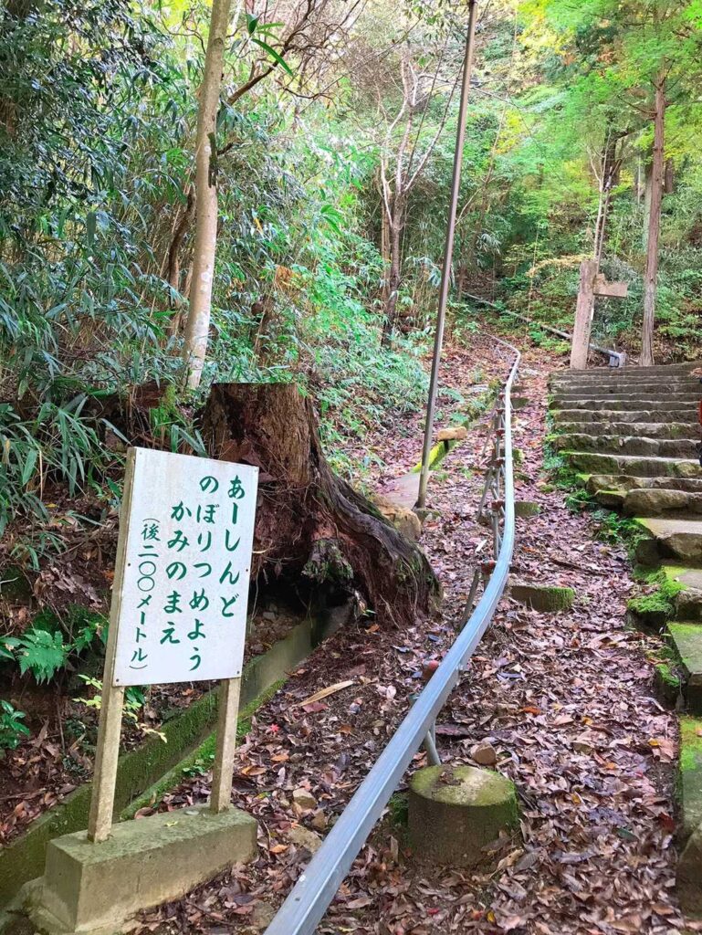 まだあるんかーい😂