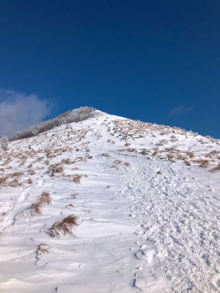 山頂まであと少し