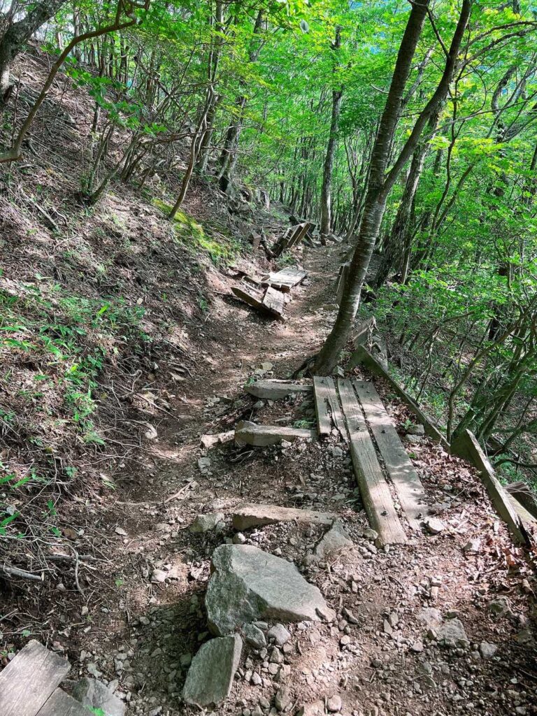 自然の力を感じる