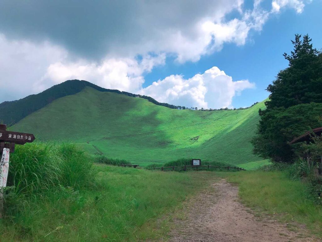 やっぱり綺麗っす😍