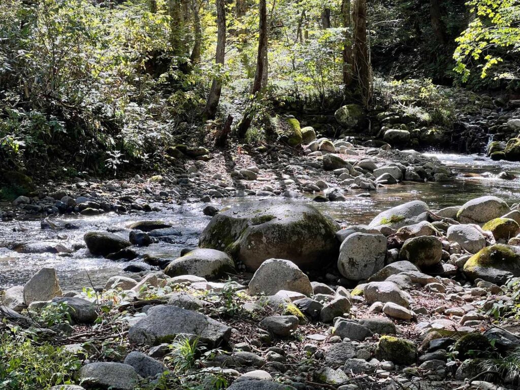 川が流れていて日が照ると気持ちが良い