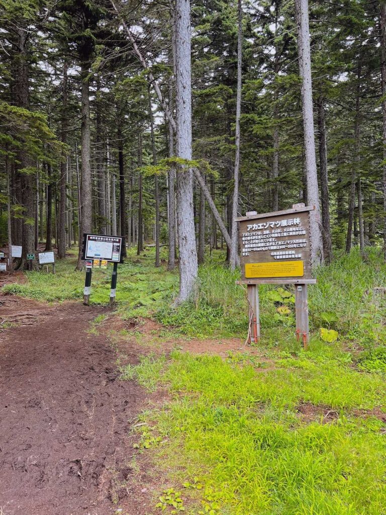 雌阿寒温泉コース登山口