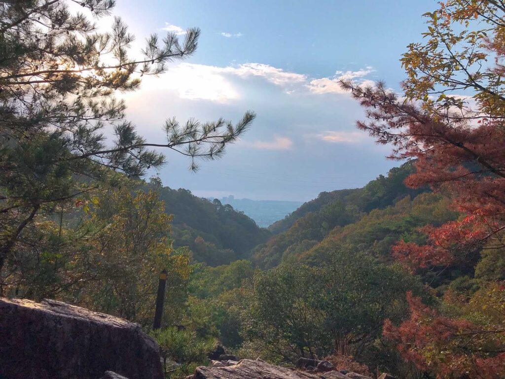 少し曇り気味の空