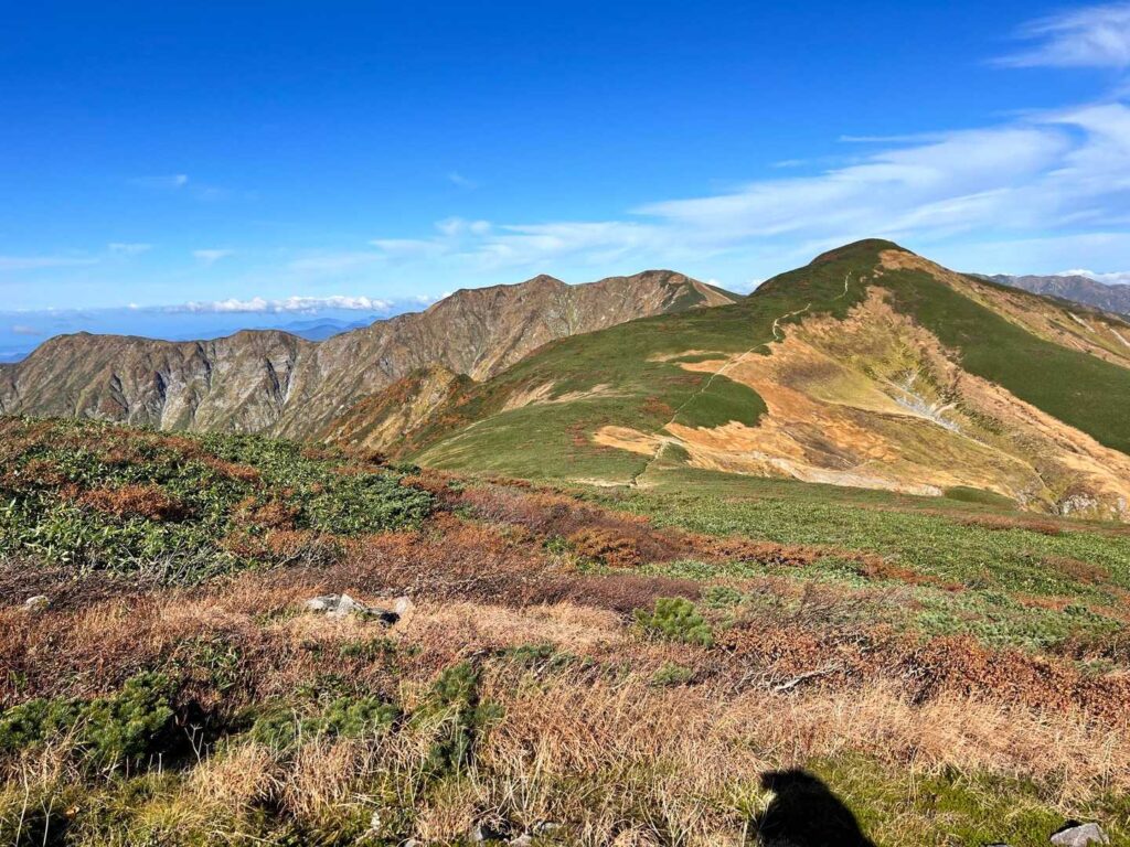 くっきりと伸びる登山道