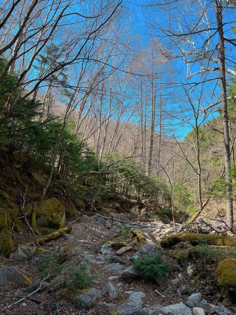 沢沿いの帰り道