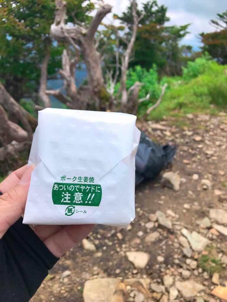 山頂からの景色