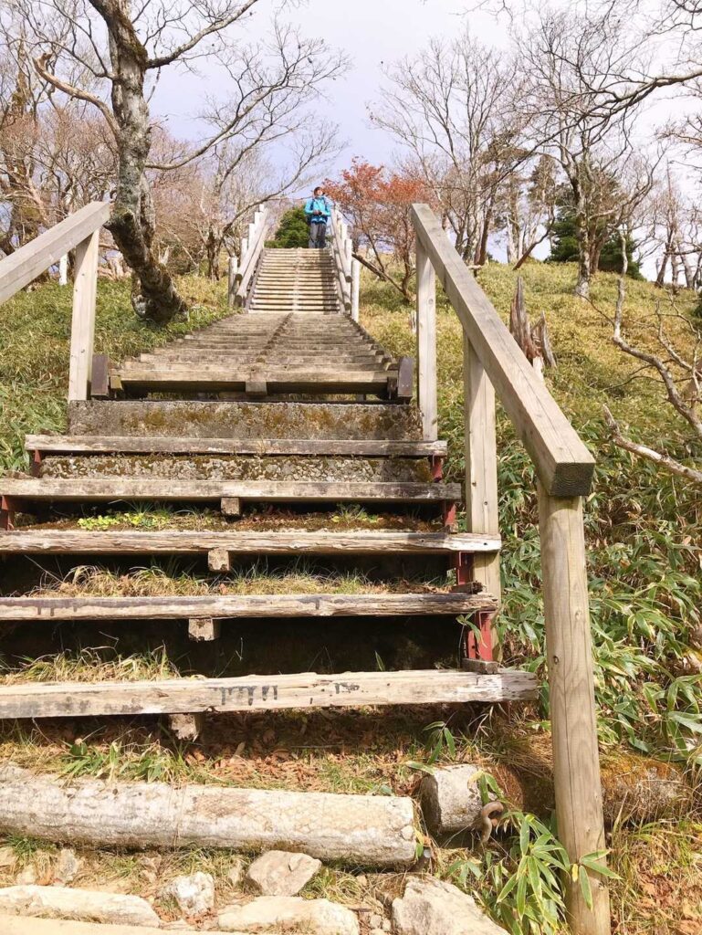 よく整備された木製の階段