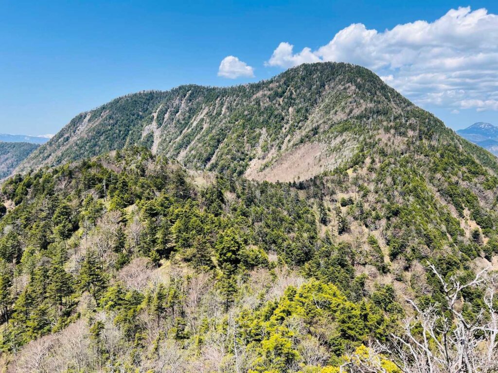 帰りの長い道のり