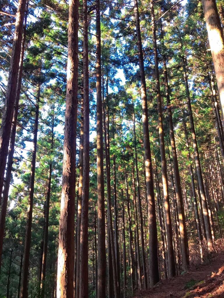 下山中に青空が広がる