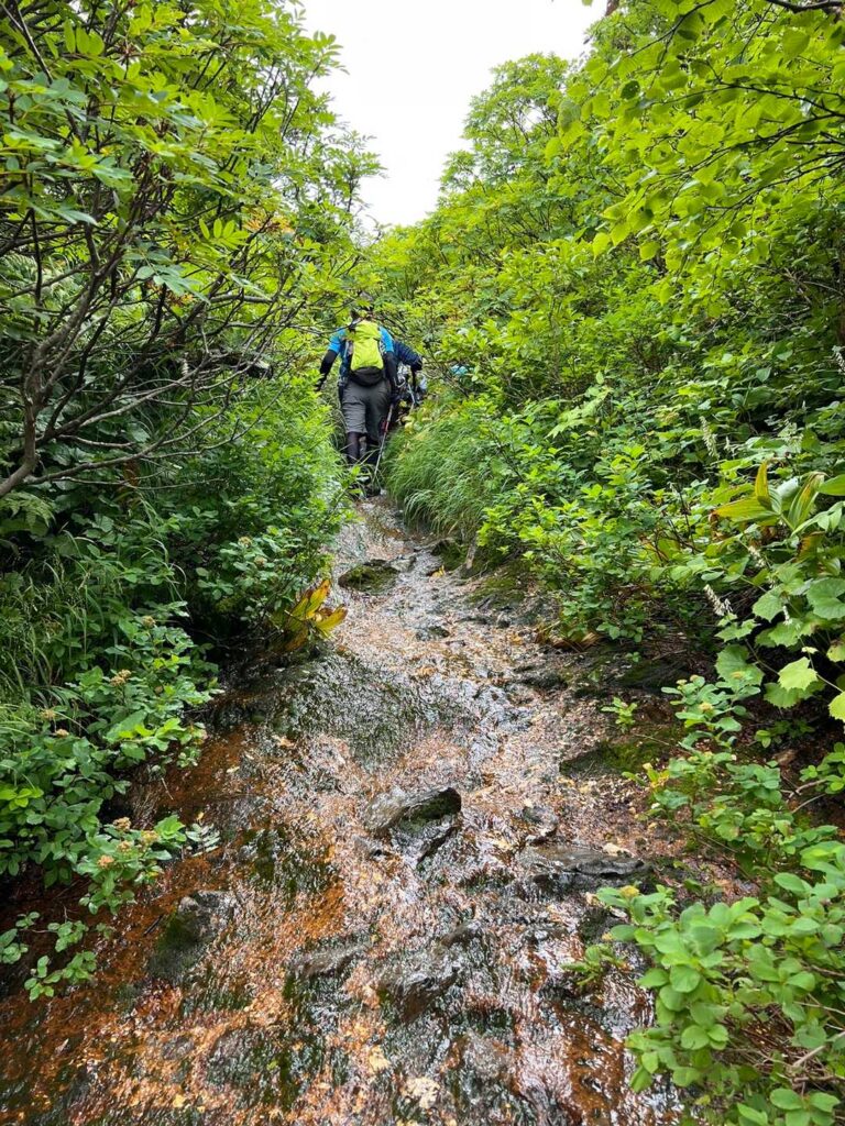 沢の最後の登り