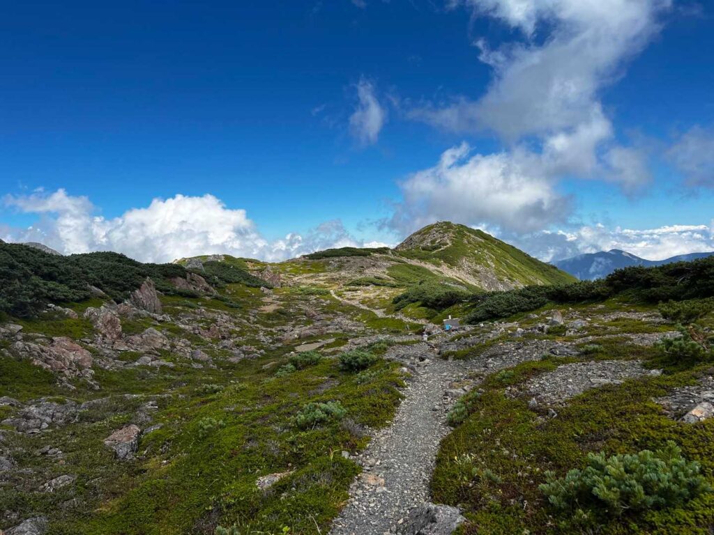 奥聖岳への稜線。青空と緑が美しい
