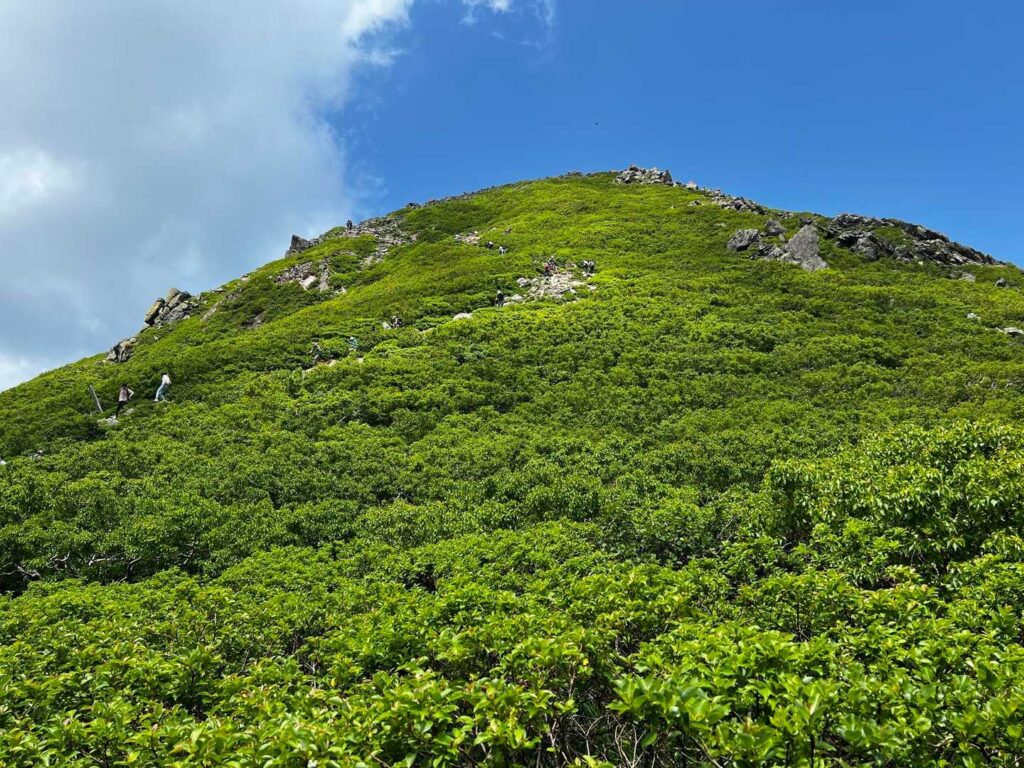 下山中に見下ろす緑の斜面