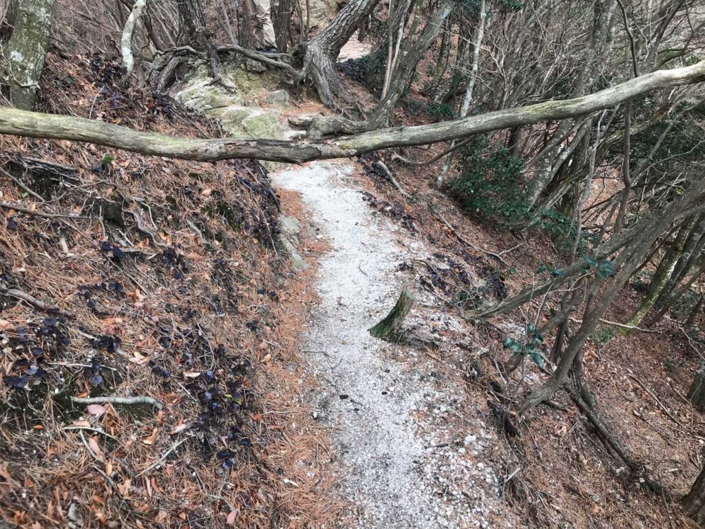 上から下から？どっちがいい？😆