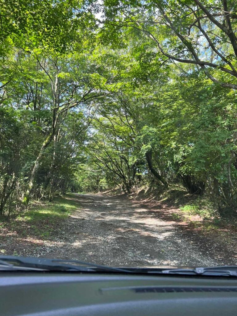 駐車場に向かう途中 砂利道になっています☝️ / 注意して走れば大丈夫なレベルです