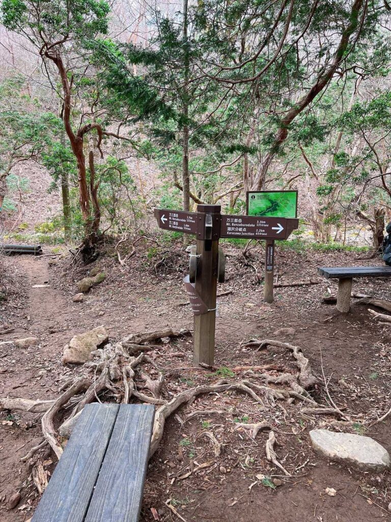 分岐点、左回りの周回へ