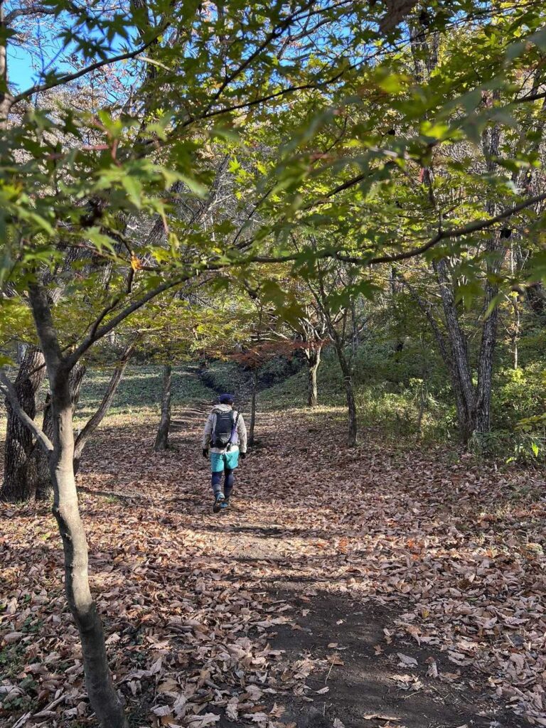 少し歩くと笹の道が広がる