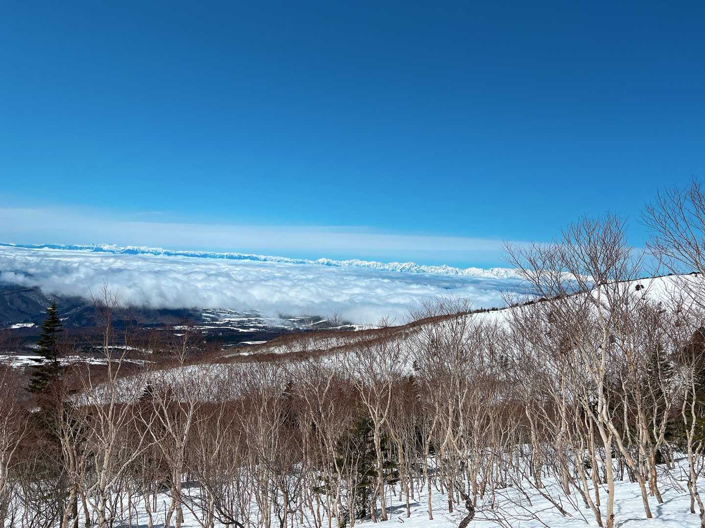 名残惜しいけど