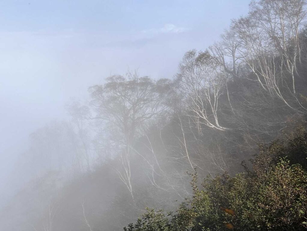 ガスに包まれた登山道