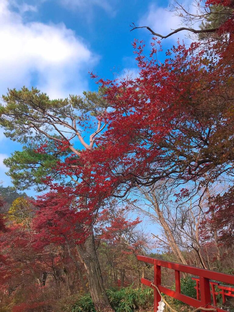 山頂付近で紅葉が色づき始め
