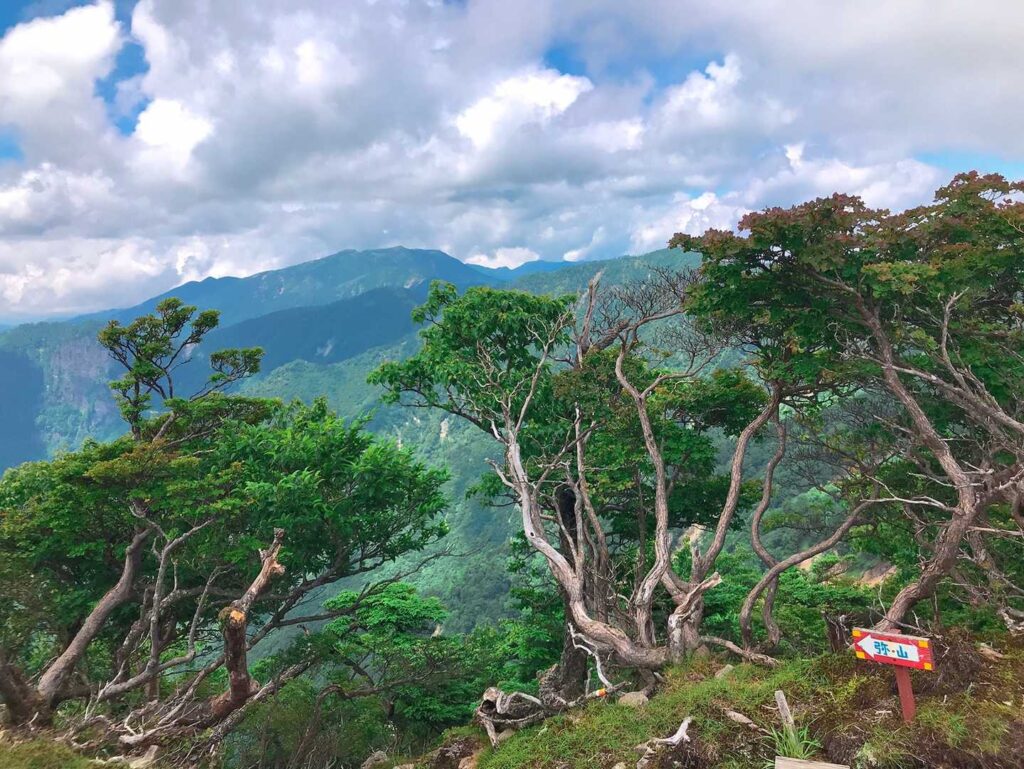 大峰の山並みの遠望