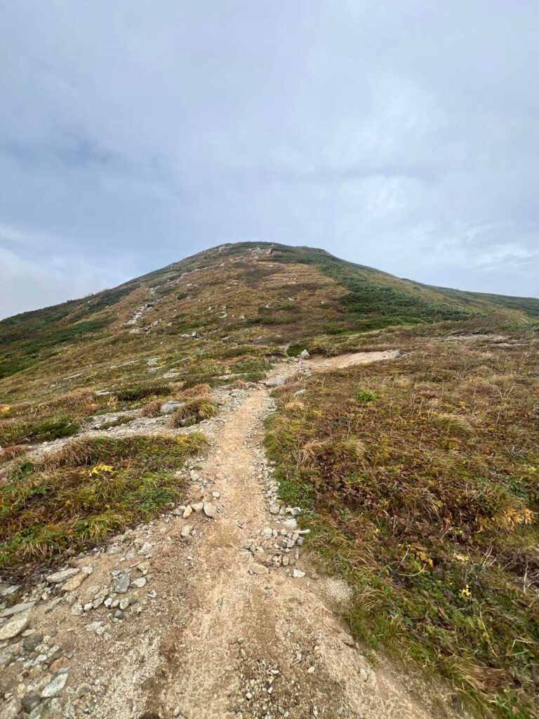 山頂方面を望む