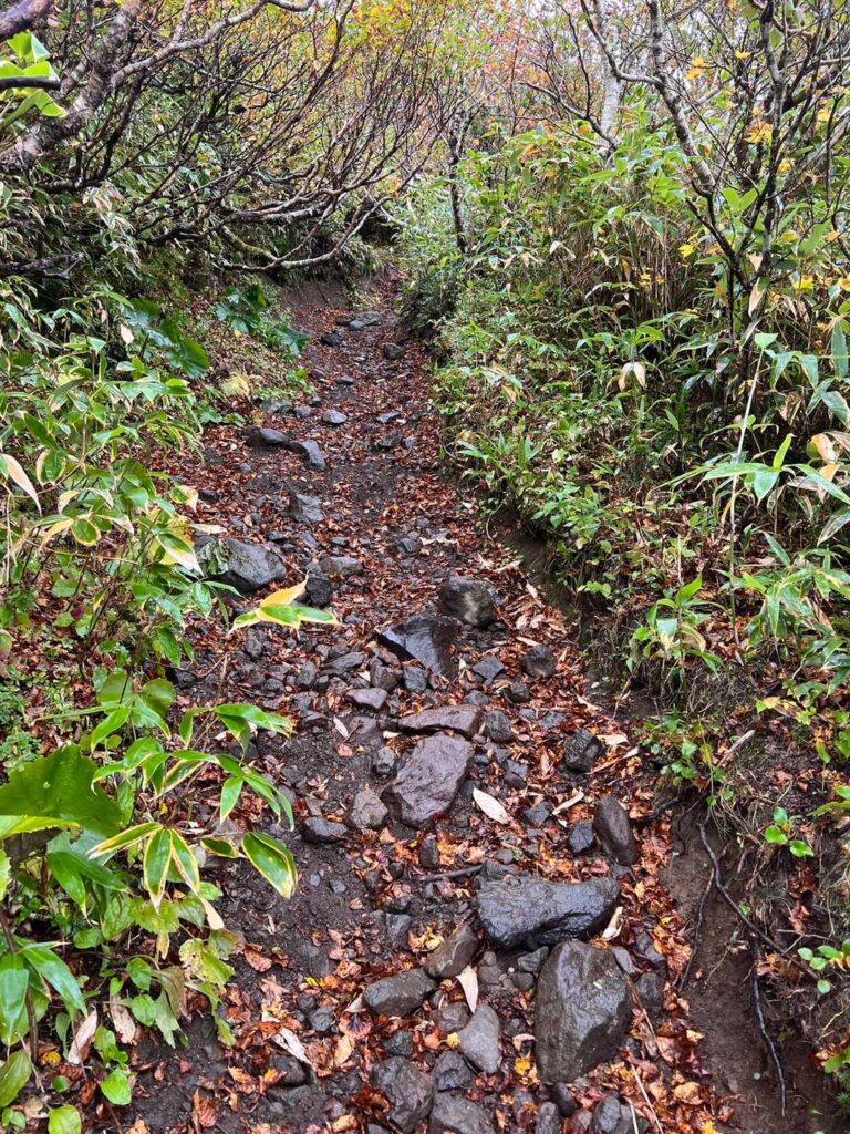 濡れた登山道を下る