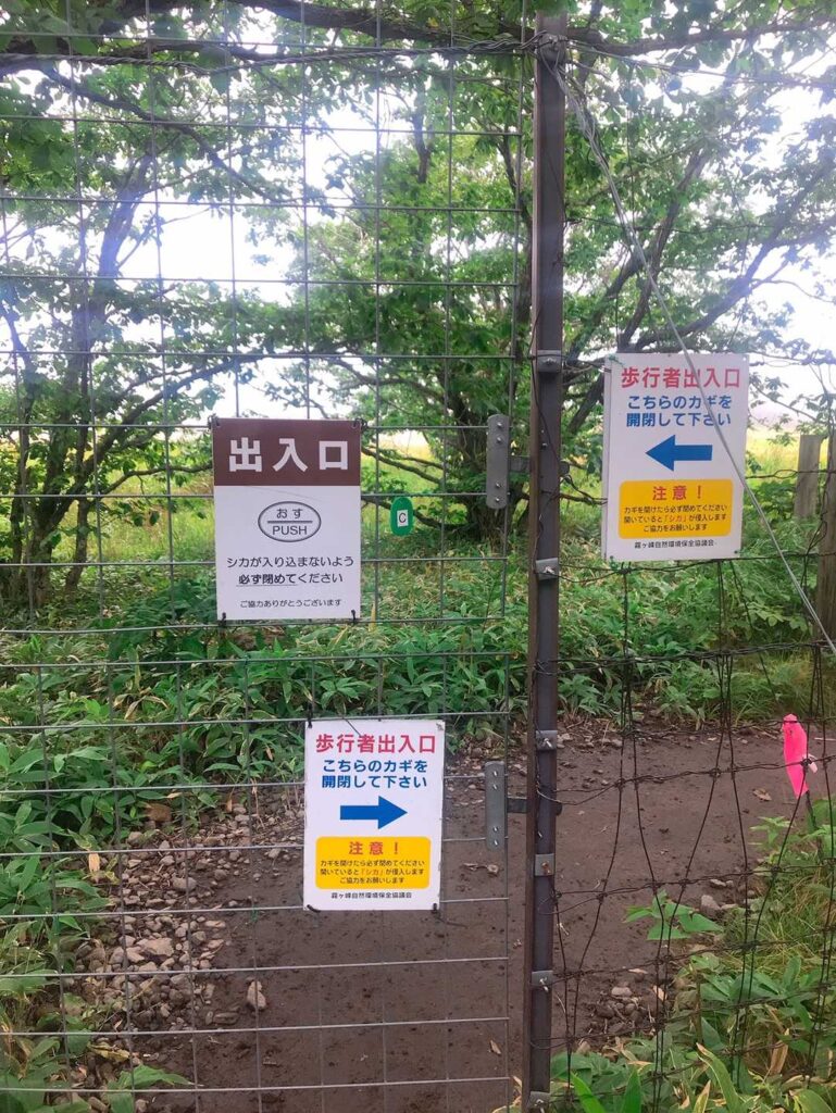 湿原の道を進む