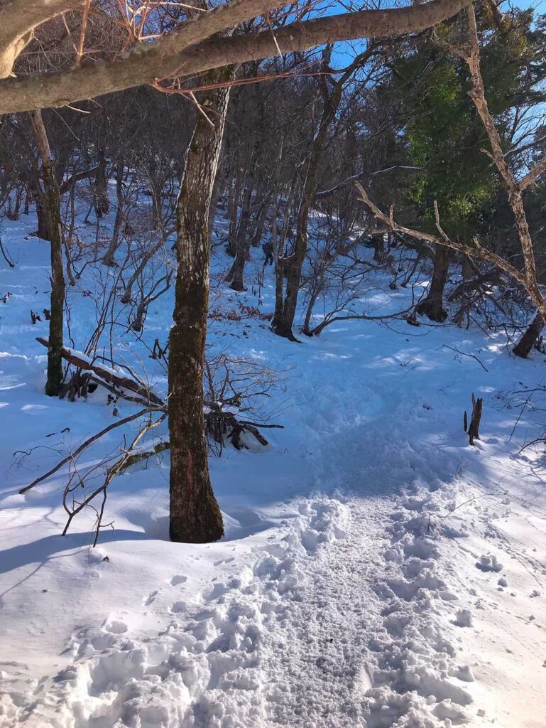 アイゼン装着後の登山道