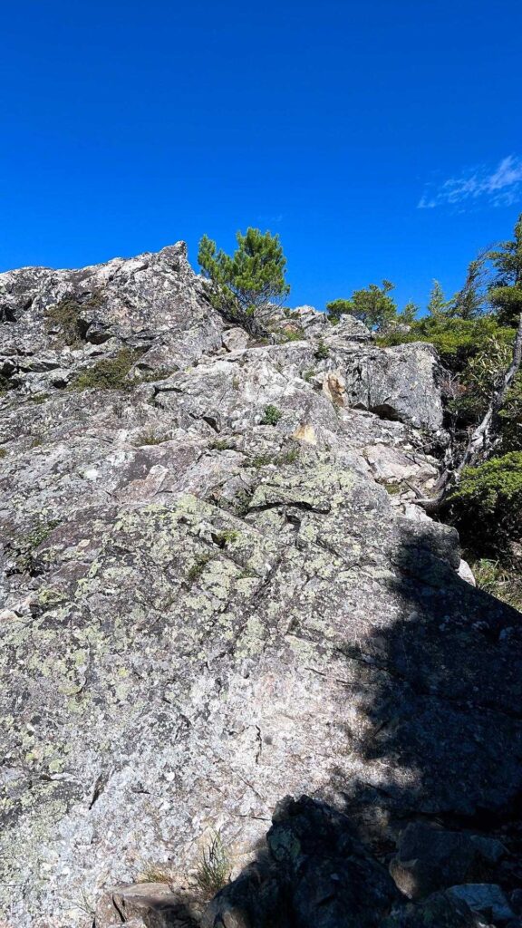 開けてる来ると