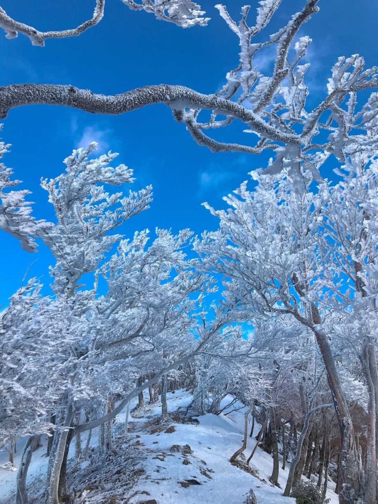 ブルーとホワイトの高見山