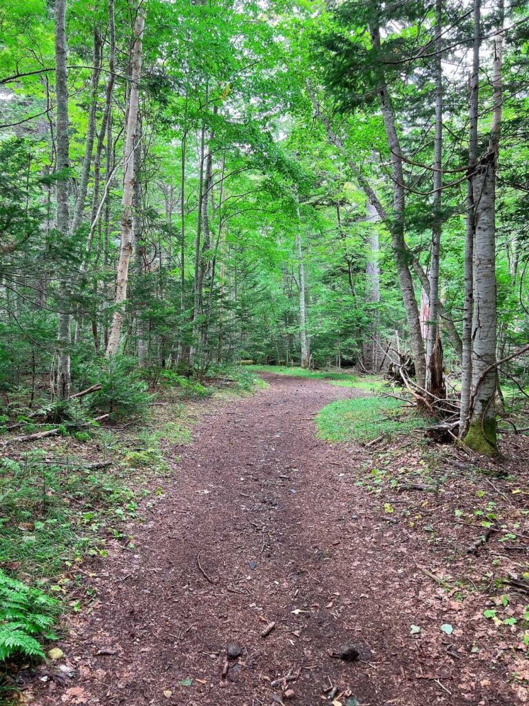 やっと緩やかな道に