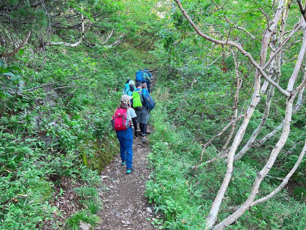 樹林帯を抜けた先の景色