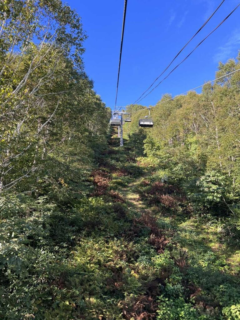 リフトから見える紅葉