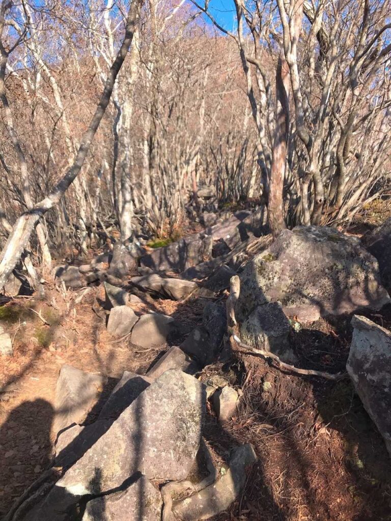 岩だらけの急登