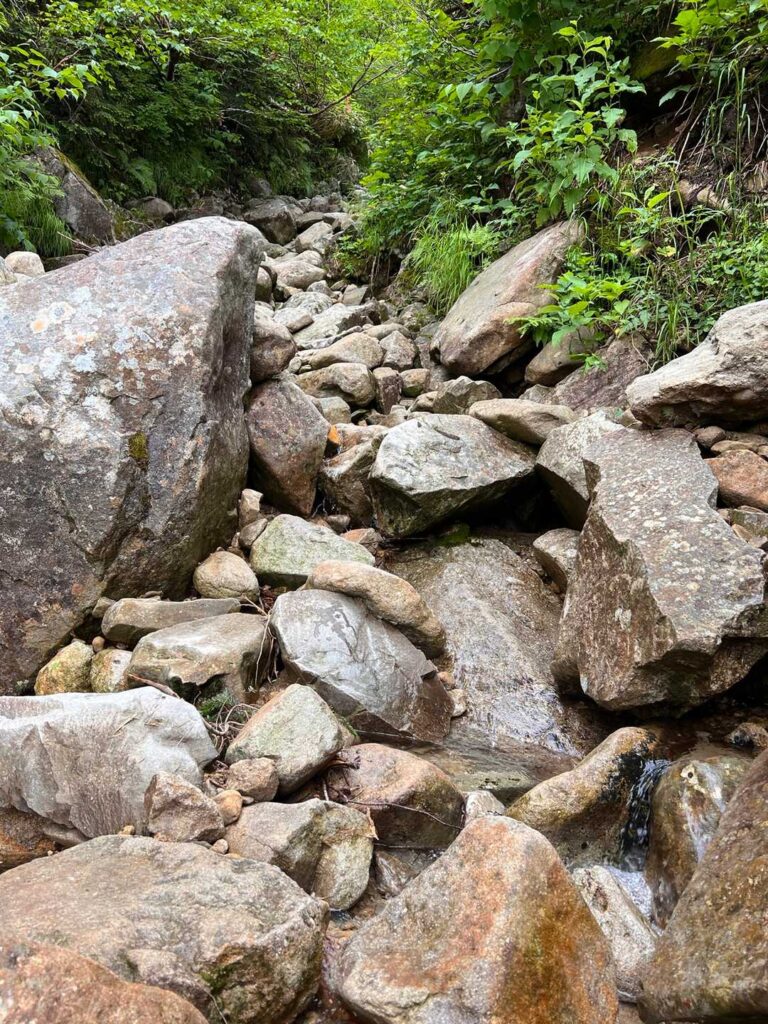 帰りに滑りそうな沢沿いの道