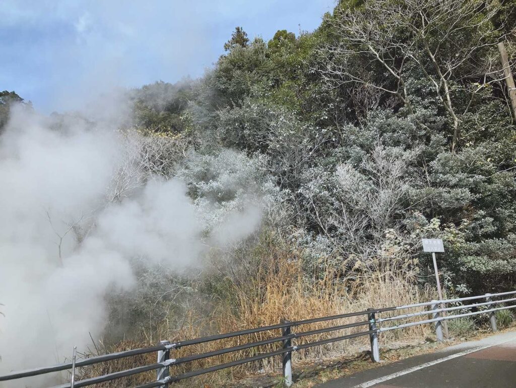 霧島温泉郷の湯けむりに包まれる木々