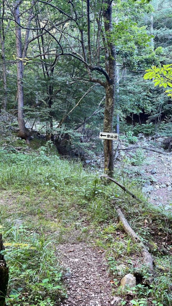 登山道序盤の様子