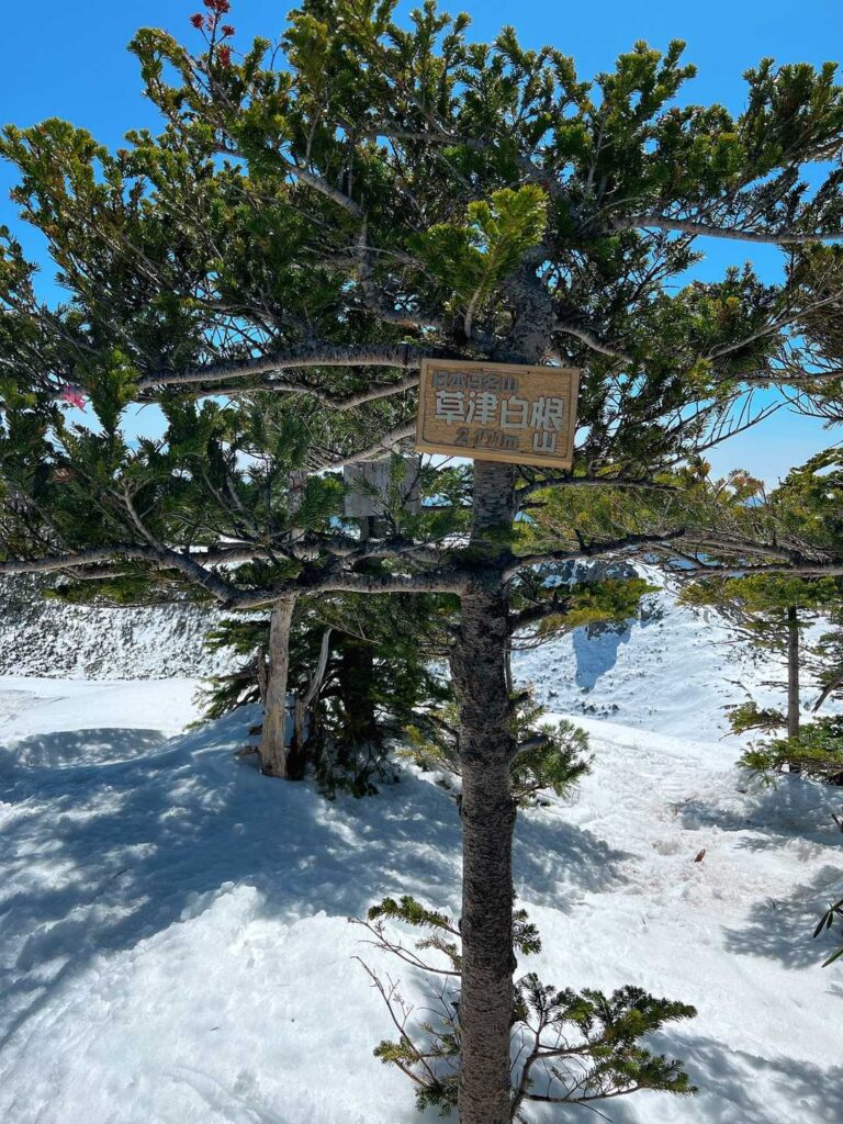 新しい方の山頂標識