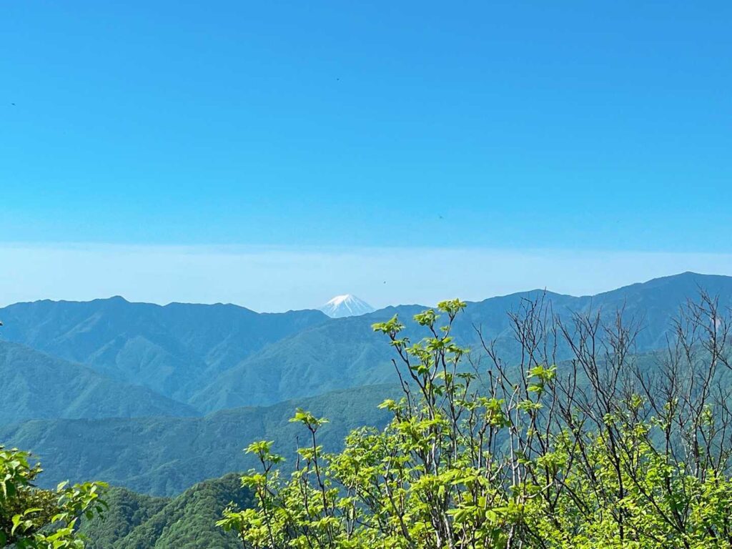 山頂から見える富士山