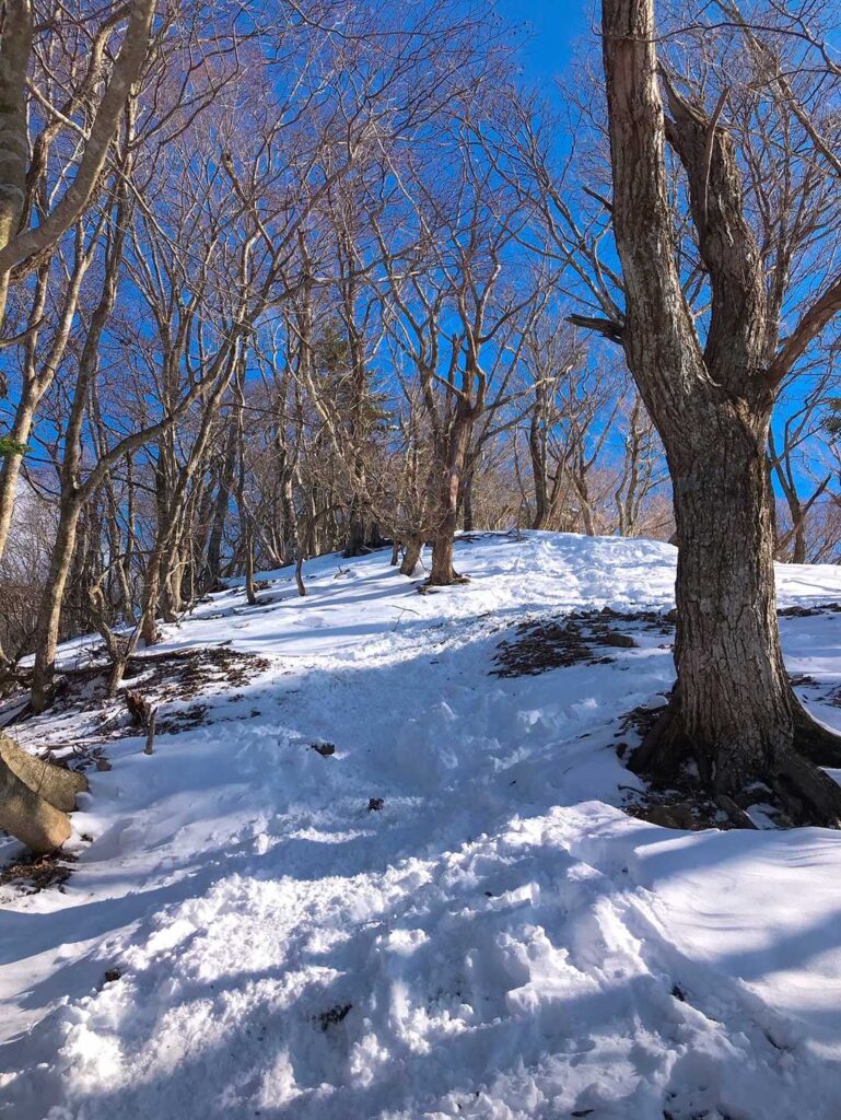 青空が見えてきた、稜線が近い