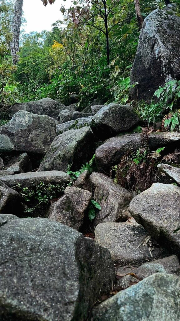 ガスの中を登る