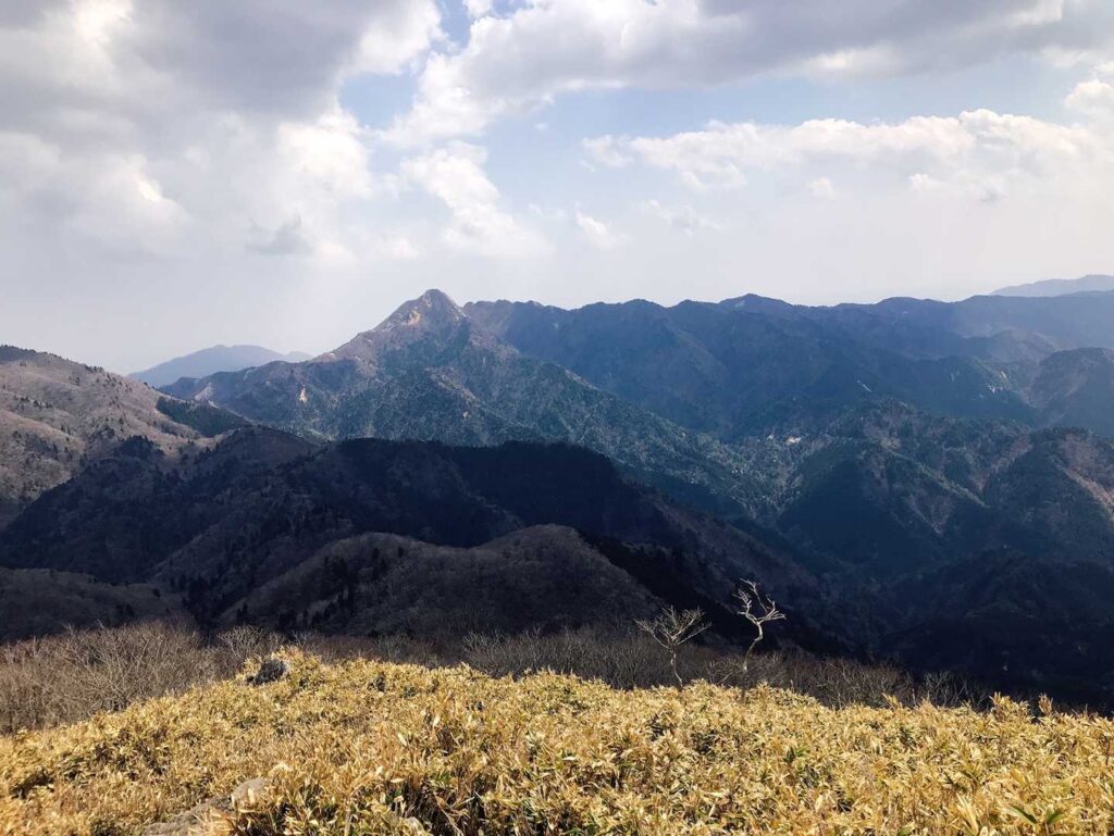 やっと上に