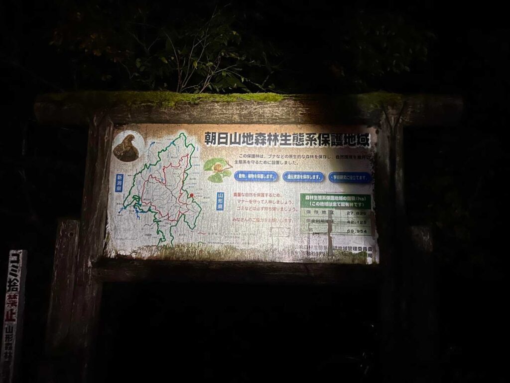 だんだん明るくなってきた登山道