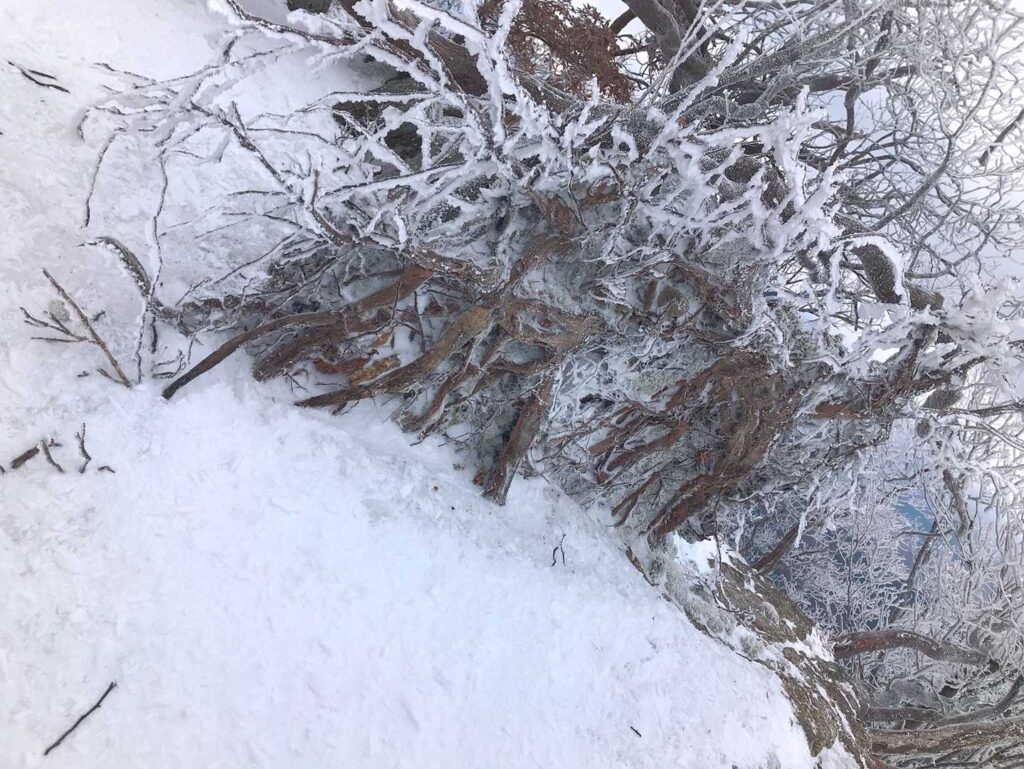 寒さも忘れる美しさ